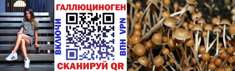 blacksprut ссылка Рыбинск Псилоцибиновые грибы GOLDEN TEACHER